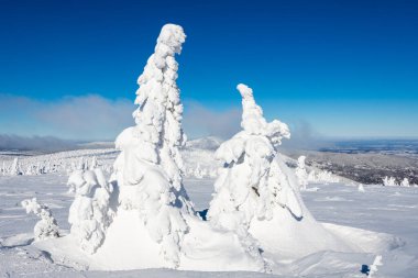 Güneşli bir günde, dev dağlarda güzel bir kış.