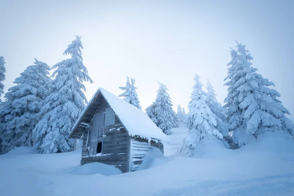 Charmante Houten Hut Besneeuwd Dennenbos Tijdens Bevroren Winter — Stockfoto