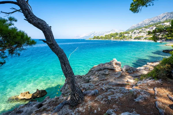 Increíble Agua Cristalina Mar Adriático Brela Makarska Riviera Dalmacia Croacia — Foto de Stock