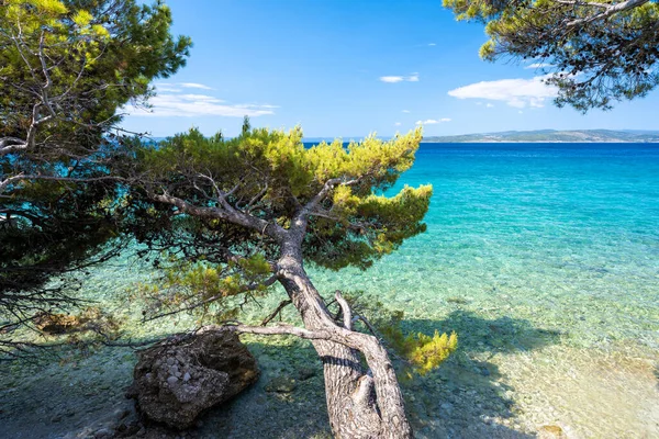 Hırvatistan Dalmaçya Kentindeki Baska Voda Inanılmaz Adriyatik Gök Mavisi Deniz — Stok fotoğraf