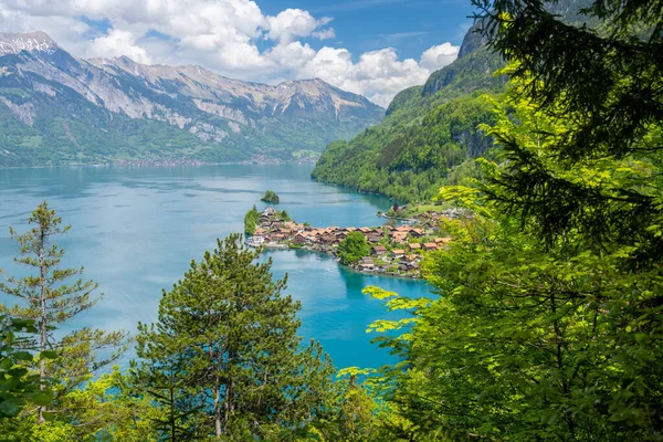 Pemandangan Kota Iseltwald Dan Danau Brienzersee Swiss — Stok Foto