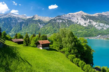İsviçre 'de güneşli bir günde Brienzersee Gölü' nde ahşap barakayla harika bir dağ manzarası.