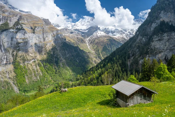 Úžasný Výhled Švýcarské Alpy Murren Lauterbrunnen Švýcarsku — Stock fotografie
