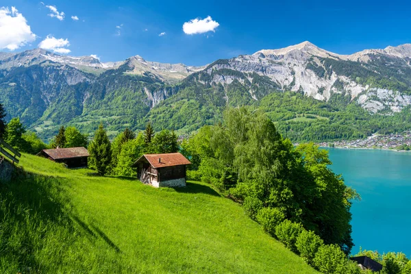スイスの晴れた日には木の小屋があるブリエンツェルシー湖の素晴らしい高山の景色 — ストック写真