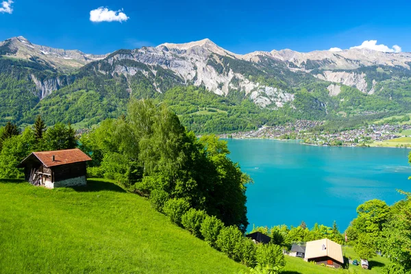 Alpejski Krajobraz Zieloną Łąką Drewnianą Chatą Nad Jeziorem Brienz Szwajcarii — Zdjęcie stockowe
