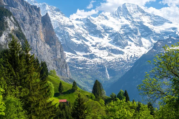 Úžasný Výhled Švýcarské Alpy Vesnice Wengen Švýcarsku — Stock fotografie