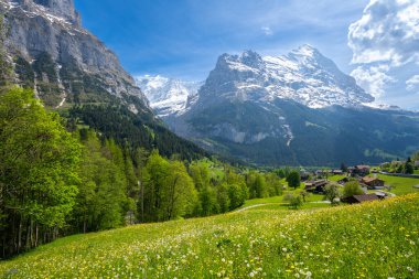 İsviçre 'de güneşli bir günde Grindelwald' daki Eiger Dağı 'nın muhteşem manzarası