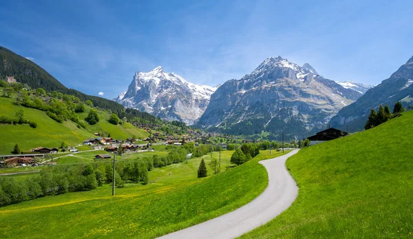 Silnice Mezi Vysokohorskými Zelenými Loukami Horami Alp Švýcarském Grindelwaldu — Stock fotografie