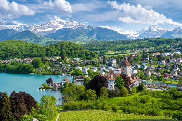 Pemandangan Indah Kota Spiez Danau Thun Dan Pegunungan Alpen Swiss — Stok Foto