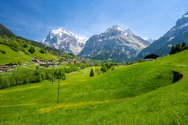 スイスのグリンデルヴァルト村でアルプスの山々と高山草原 — ストック写真