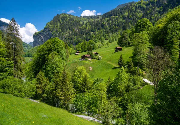スイスに緑の草原が広がるラウターブルネン村の素晴らしい高山風景 — ストック写真