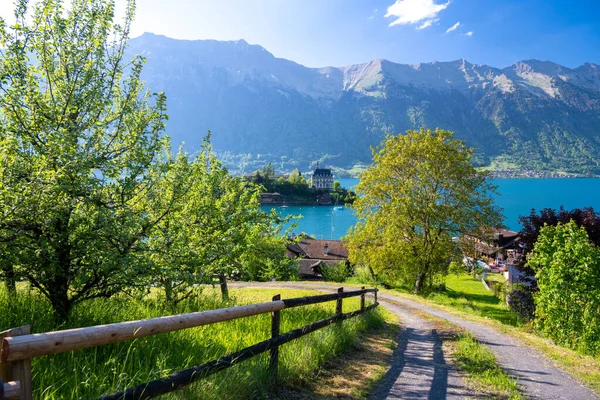 Increíble Vista Aldea Alpina Iseltwald Lago Brienz Suiza — Foto de Stock