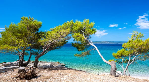Blick Auf Atemberaubende Azurblaue Adria Der Dalmatinischen Küste Der Makarska — Stockfoto