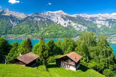 view on Lake Brienz with green meadow and huts in Switzerland