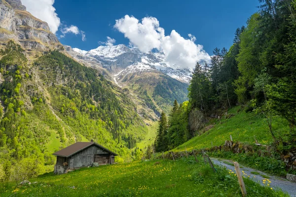 View Swiss Alps Spring Meadow Wooden Hut Switzerland — Stockfoto