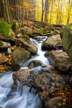 river in Karkonosze mountains during autumn in Poland