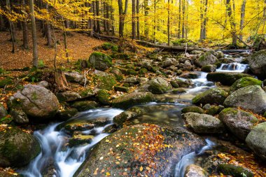 river in Karkonosze mountains during autumn in Poland 