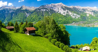 İsviçre 'de kulübeleri ve Brienz Gölü olan yeşil çayır manzarası