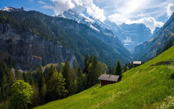 Alpská Louka Lauterbrunnen Švýcarsku — Stock fotografie