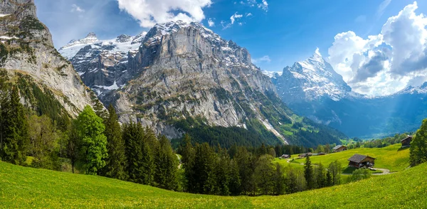 Úžasná Krajina Švýcarských Alp Grindelwaldu Švýcarsku — Stock fotografie