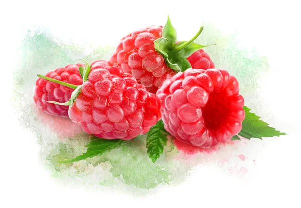 Ripe Raspberries φωτογραφία σε υδατογραφία ζωγραφισμένο φόντο πιτσιλίσματος — Φωτογραφία Αρχείου