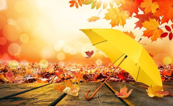 Őszi háttér sárga esernyő a fa fedélzet — Stock Fotó