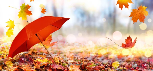 Φθινόπωρο φόντο με κόκκινη ομπρέλα και πεσμένα φύλλα σφενδάμου — Φωτογραφία Αρχείου