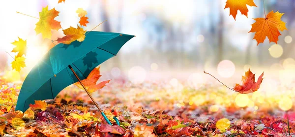 Jesienne tło z zielonym parasolem i opadłych liści klonu — Zdjęcie stockowe