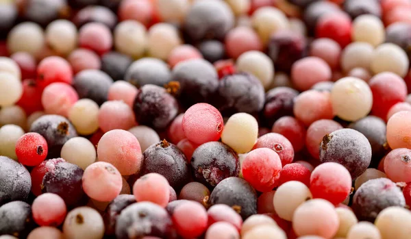 Frozen Berries Varieties Currants Background Frozen Fruites Mix Close — Stock fotografie