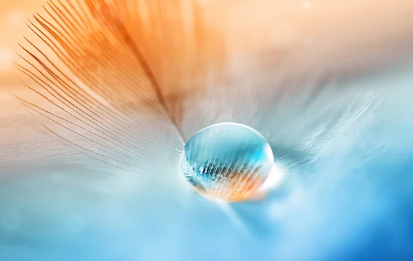 Transparent water drop on feather on turquoise orange blurred background.