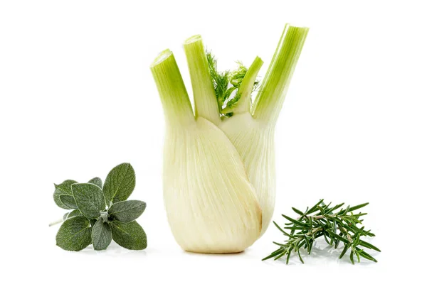 Coquetel de 3 plantas medicinais-virtudes digestivas, Ennel, Rosemary, Sábio — Fotografia de Stock