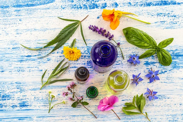植物与花卉，药物美德，幸福，医疗替代药物 — 图库照片