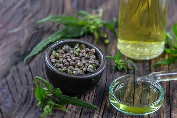 Olio vegetale biologico di canapa con foglia e semi socer, contagocce fondo in legno — Foto Stock