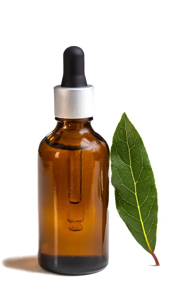 Obraz ogólny - olejek eteryczny Laurel z liściem laurowym — Zdjęcie stockowe