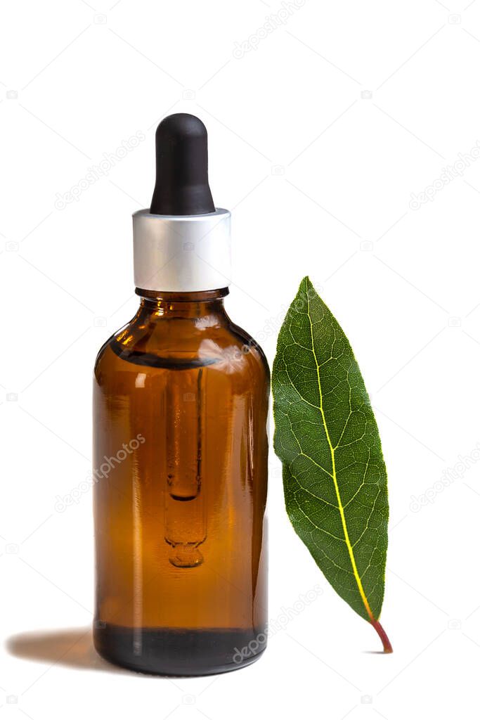 Generic image-Laurel essential oil with laurel leaf