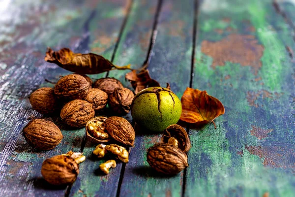 Raccolta di noci fresche in autunno — Foto Stock