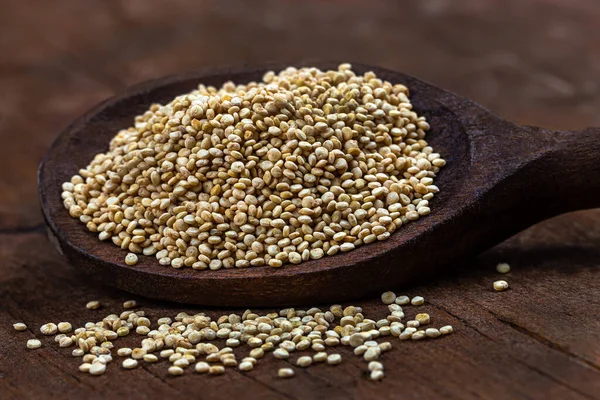 Le Quinoa Chenopodium quinoa σε ξύλινη κουτάλα — Φωτογραφία Αρχείου