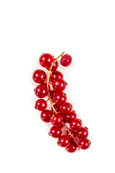 Gooseberries Ribes Rubrum red fruits — ストック写真