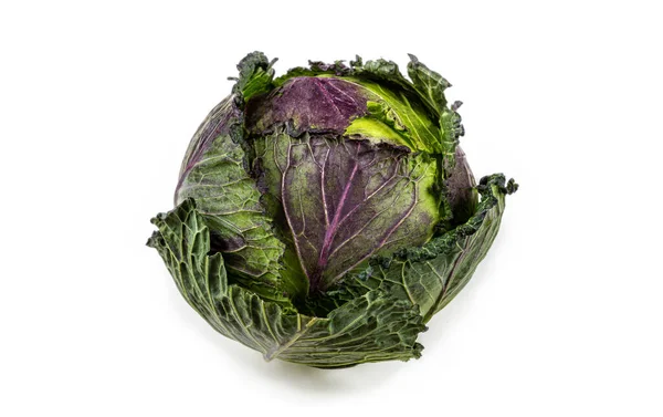 Green and red cabbage in close-up on a white background — Stock Photo, Image