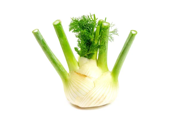 Fennel -Foeniculum vulgare- aniseed vegetable. Gastronomy and health. — Stock Photo, Image