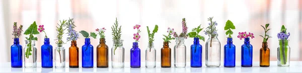 Essential Oils- Conceptual Image essential oils — Stock Photo, Image