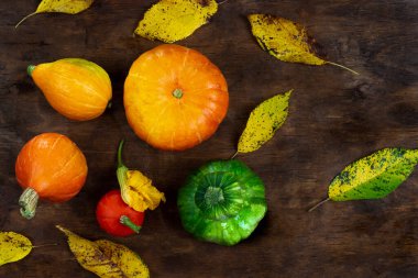Balkabakları ve balkabakları, sonbahar yapraklarıyla çevrili bir veteriner arka planına yerleştirilmiş..