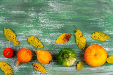 Balkabakları ve balkabakları, sonbahar yapraklarıyla çevrili bir veteriner arka planına yerleştirilmiş..
