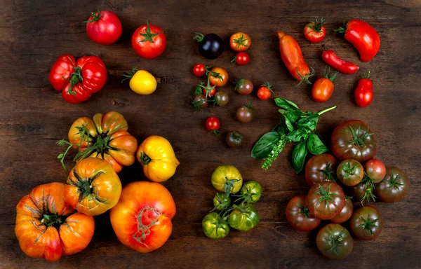 Pomidory Pogrupowane Według Gatunków Widzianych Góry — Zdjęcie stockowe