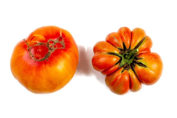 Close Tomates Velhos Cabeça Para Baixo Lugar Fundo Branco Cortado — Fotografia de Stock