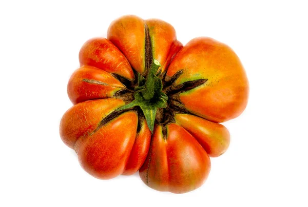 유기농 토마토는 배경에 고정되지 않았습니다 — 스톡 사진