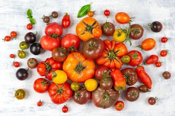 Zmienność Starych Pomidorów Widzianych Góry Rozrzuconych Krawędziach — Zdjęcie stockowe