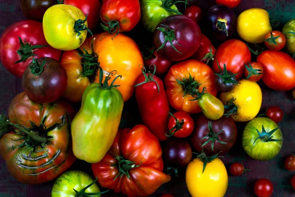 Zbliżenie Gromady Pomidorów Acian Najlepsze Widoki Zgrupowane Pomidory Trądzik Najlepsze — Zdjęcie stockowe