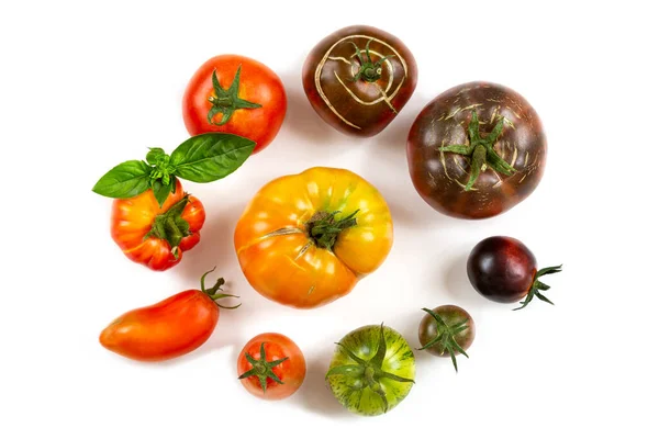 Tomatensorten Kreis Auf Weißem Hintergrund Draufsicht — Stockfoto