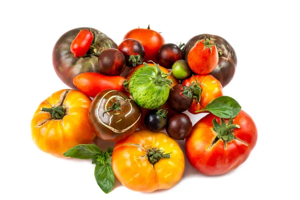 Stare Pomidory Zgrupowane Białym Tle Widok Góry — Zdjęcie stockowe